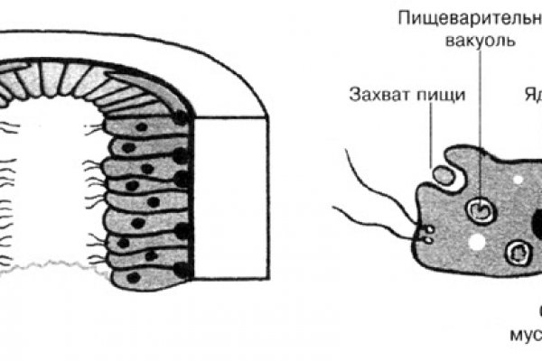 Не пришли деньги на кракен